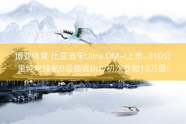 博亚体育 比亚迪宋Ultra DM-i上市， 310公里纯电续航B级插混SUV初次参加13万级!