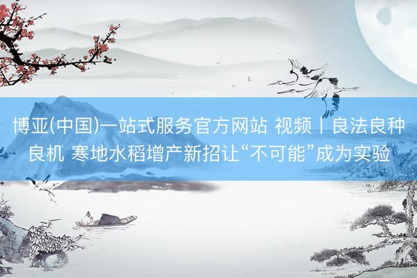 博亚(中国)一站式服务官方网站 视频丨良法良种良机 寒地水稻增产新招让“不可能”成为实验