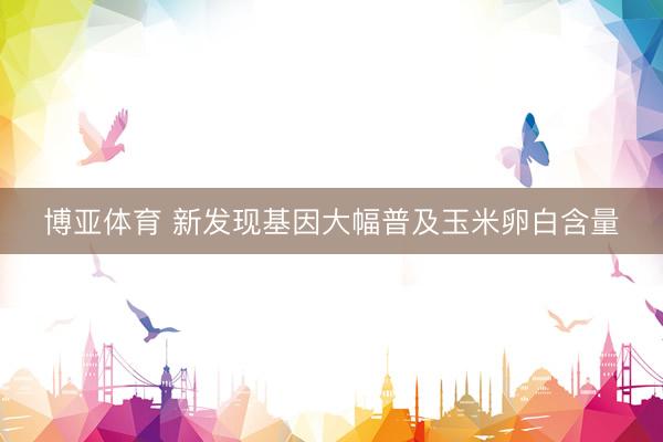 博亚体育 新发现基因大幅普及玉米卵白含量