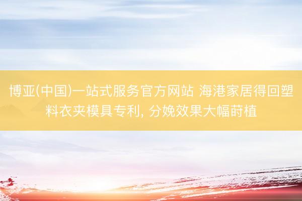 博亚(中国)一站式服务官方网站 海港家居得回塑料衣夹模具专利， 分娩效果大幅莳植