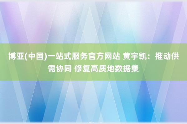 博亚(中国)一站式服务官方网站 黄宇凯:推动供需协同 修复高质地数据集